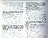 stavros prevod b manji.jpg